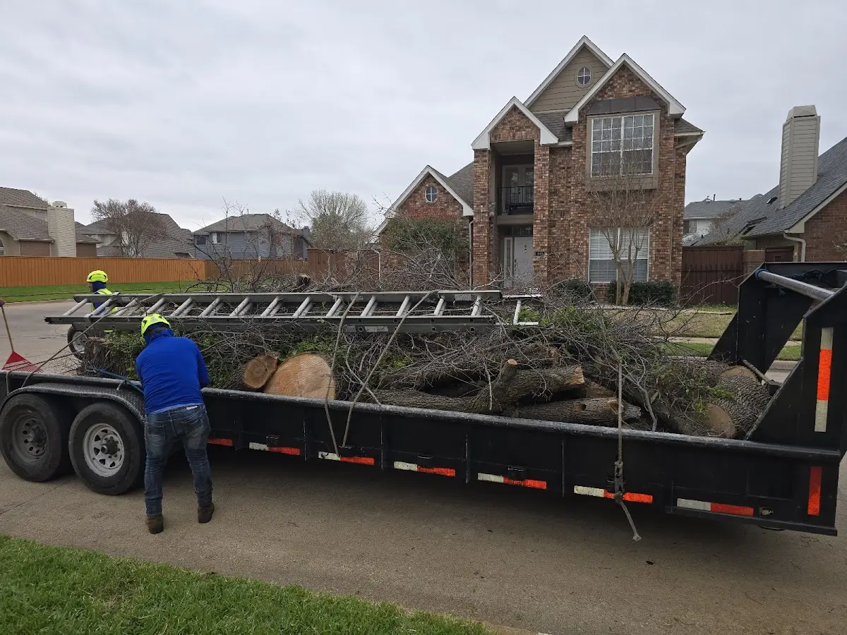 Expert Tree Fertilization with proper safety equipment in Loco